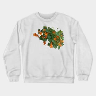 Wild Yellow Nasturtium Crewneck Sweatshirt